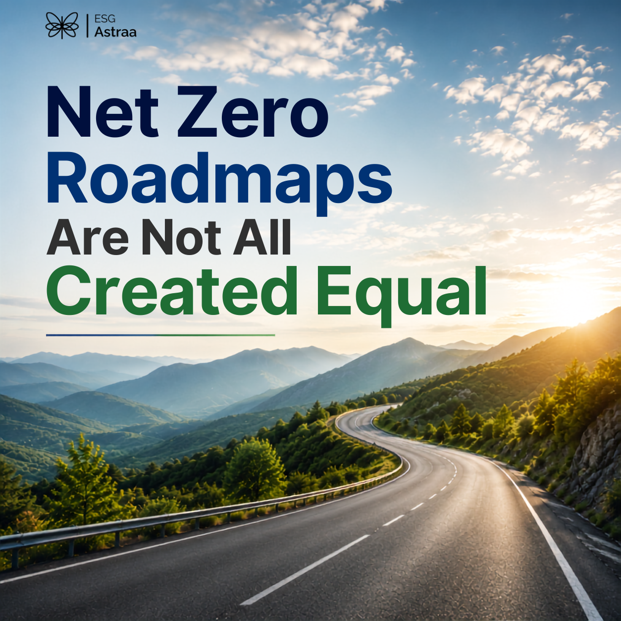 Net Zero Roadmaps Are Not All Created Equal