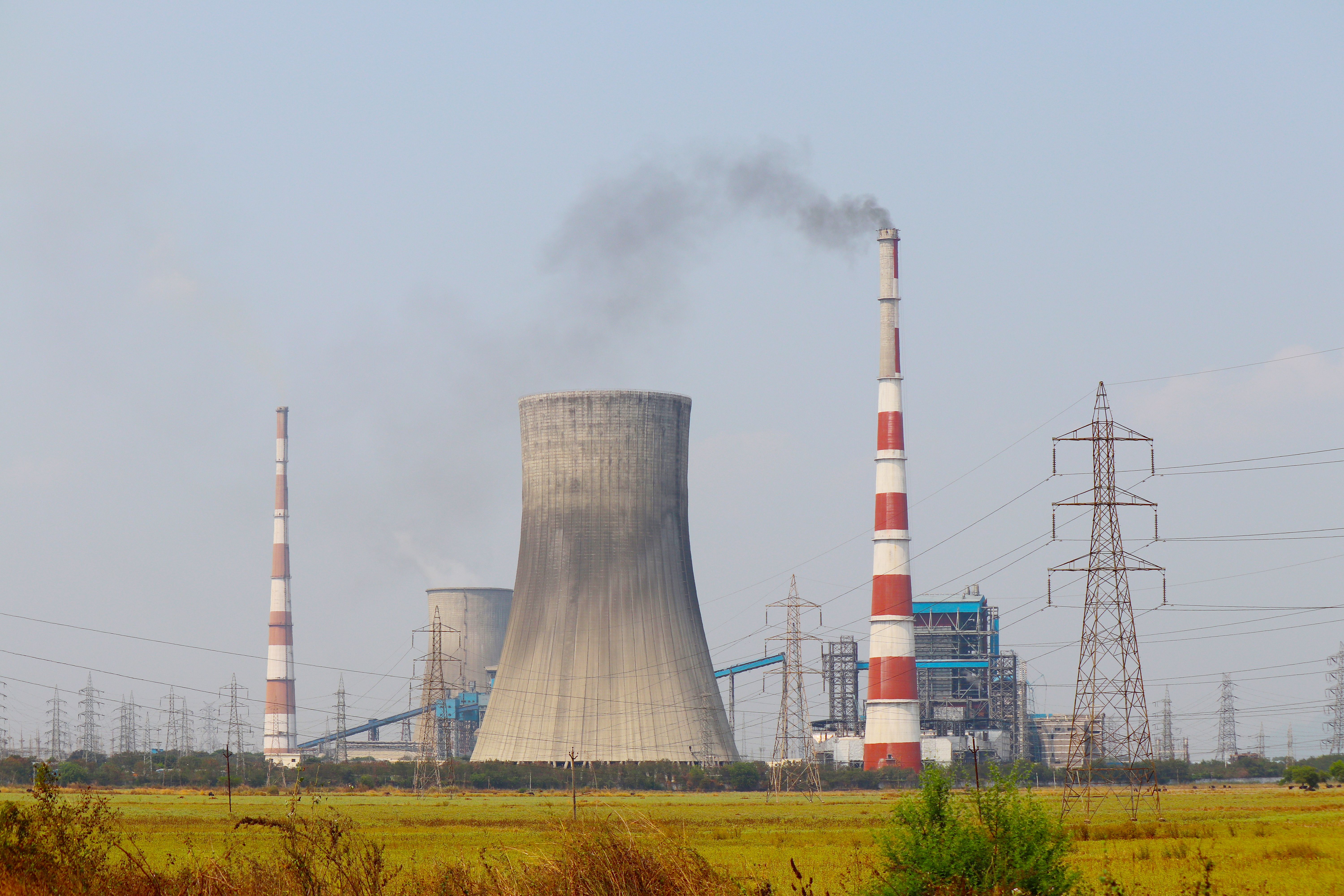 State of Carbon Disclosure in India 2026