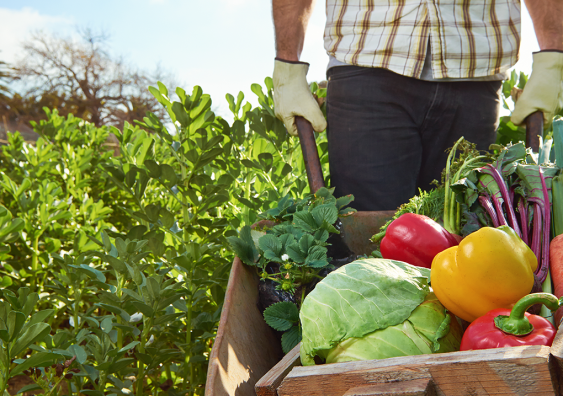 ESG Transformation in Agriculture & Food